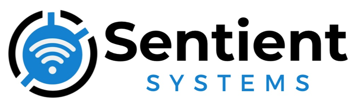 Sentient Systems